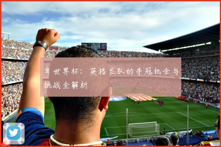 年世界杯：英格兰队的夺冠机会与挑战全解析