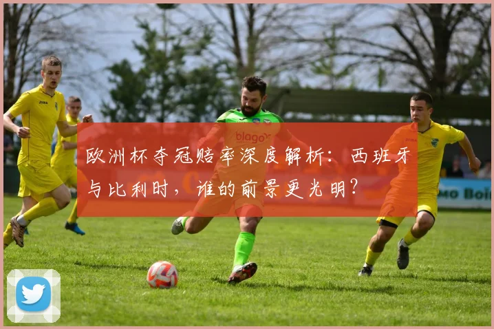 欧洲杯夺冠赔率深度解析:西班牙与比利时,谁的前景更光明?